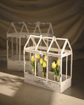 Metal and wood greenhouse