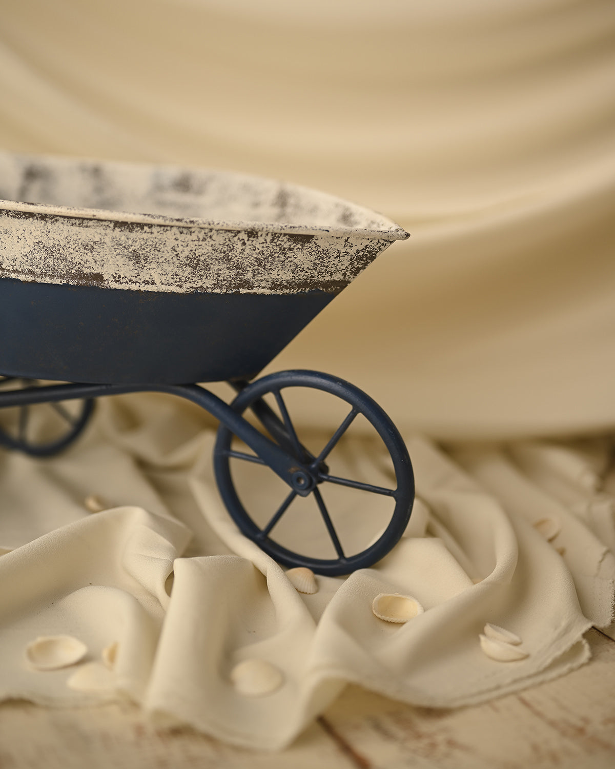 Boat Trolley