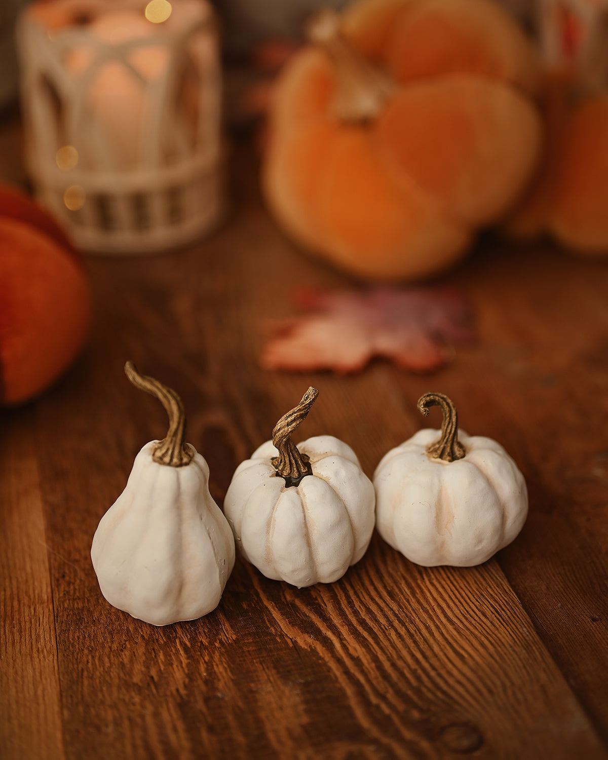 Mini White Pumpkins