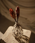 Rope and glass vase