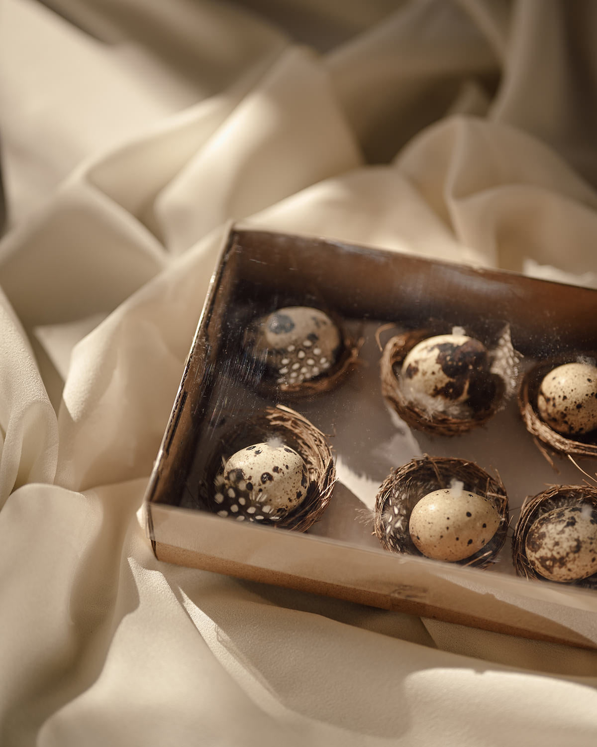 6 Bird Nests with Eggs Pía