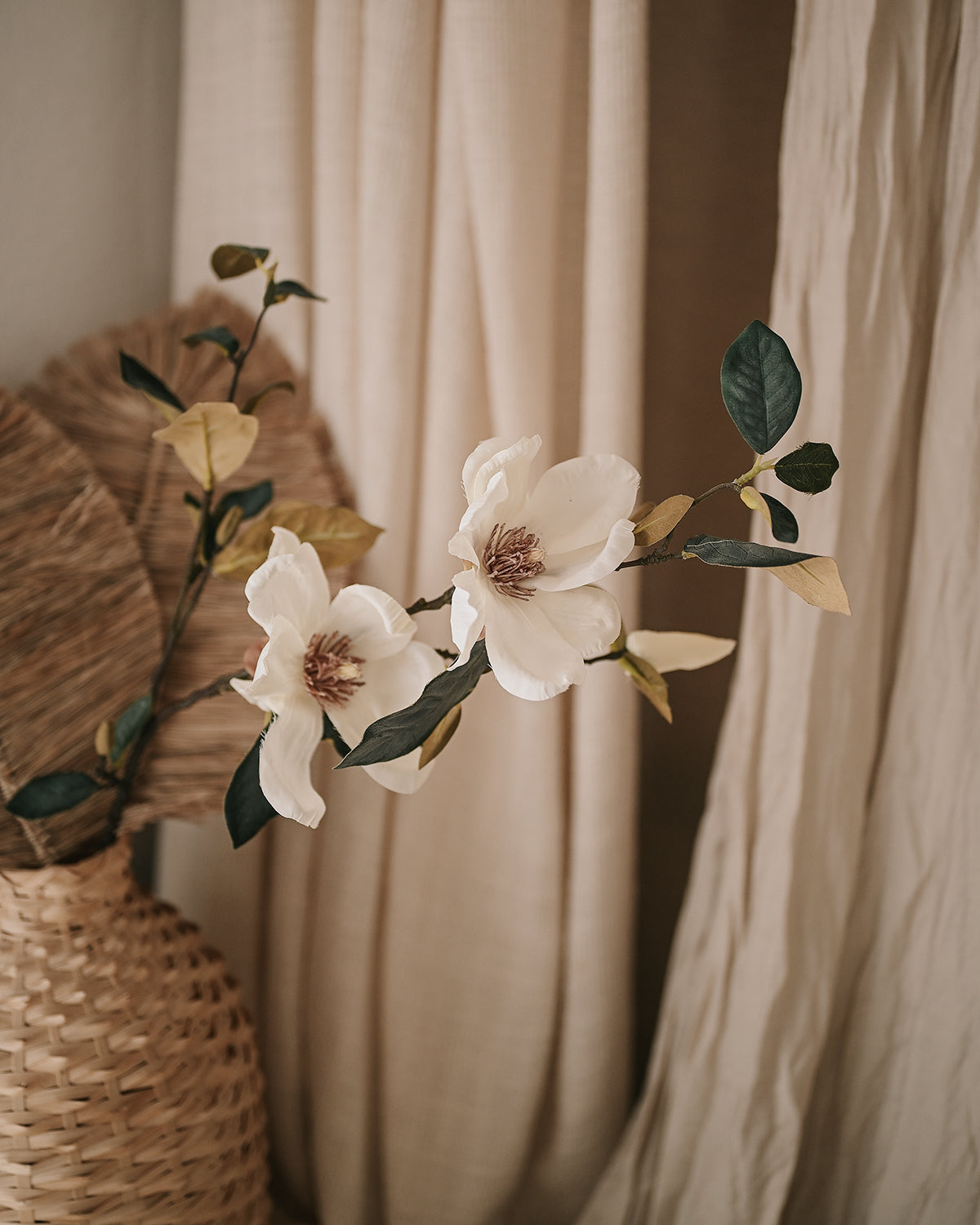 Magnolia - Realistic Plant XL