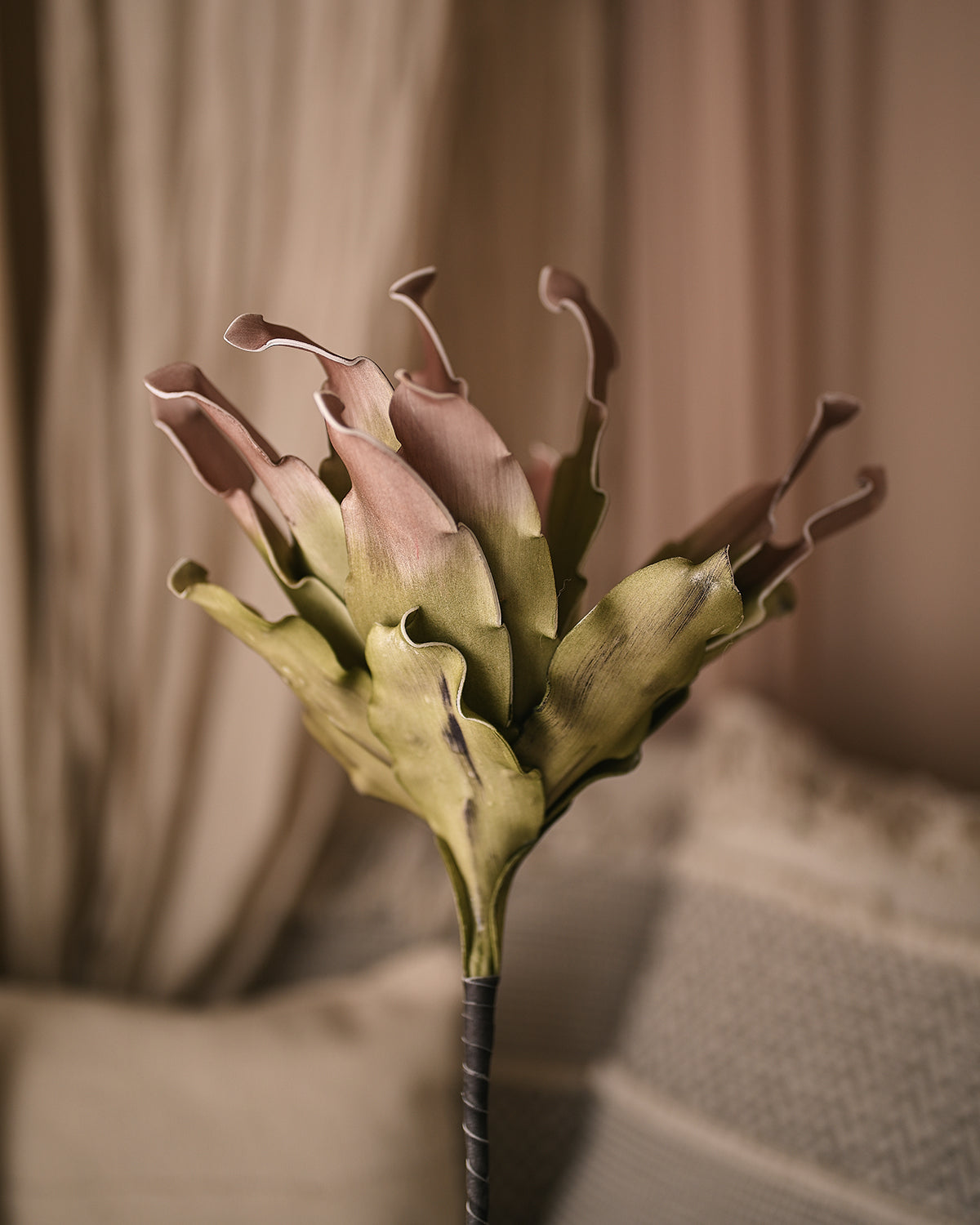 Pink Aloe Vera Flower - Realistic Plant