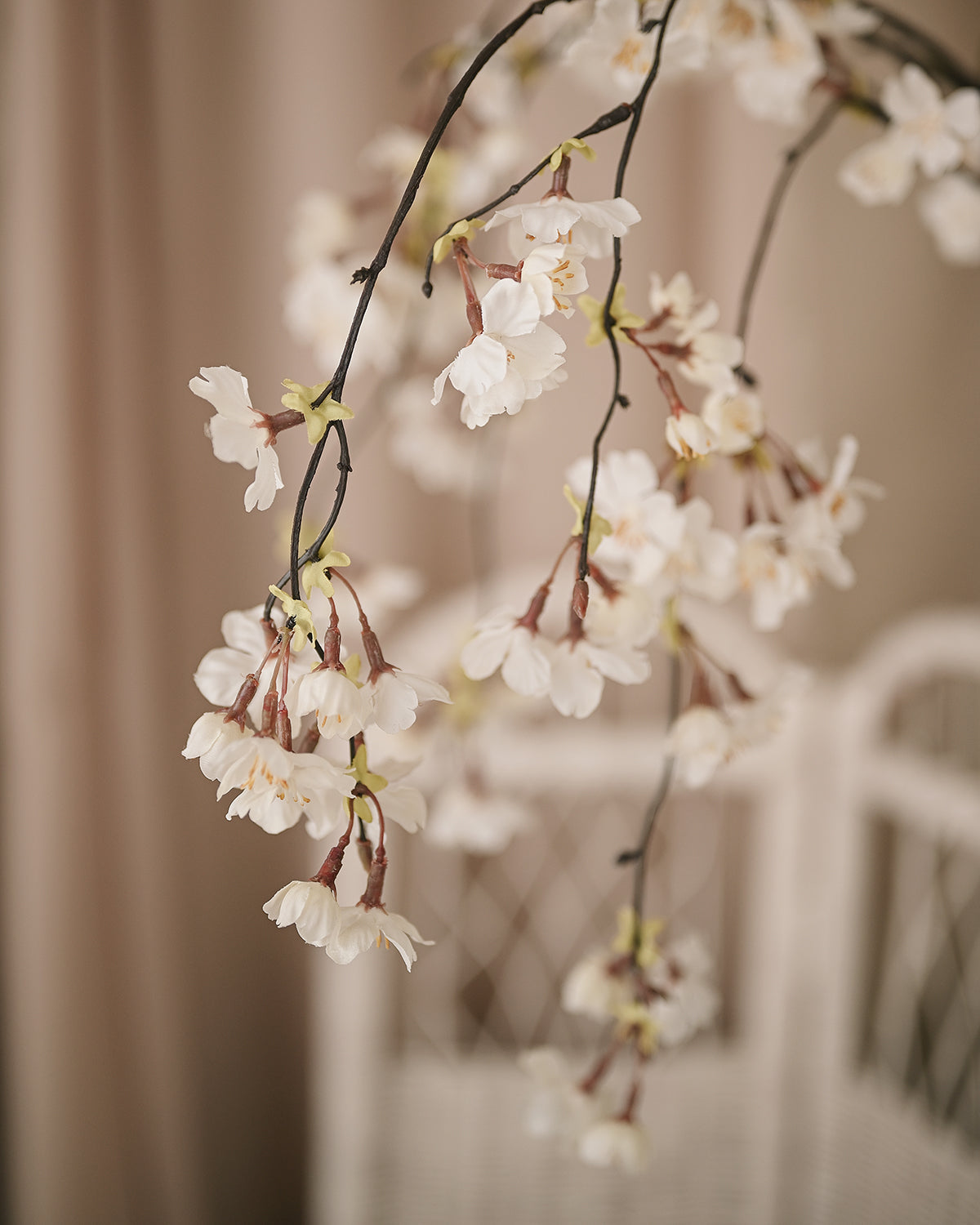 Sakura - Realistic White Cherry Branch XL