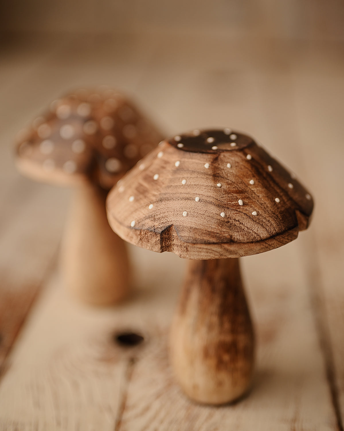 Blas - Dotted wooden mushrooms