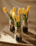 Tulips in a glass vase