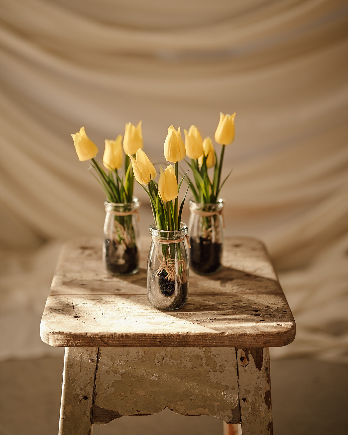 Tulips in a glass vase