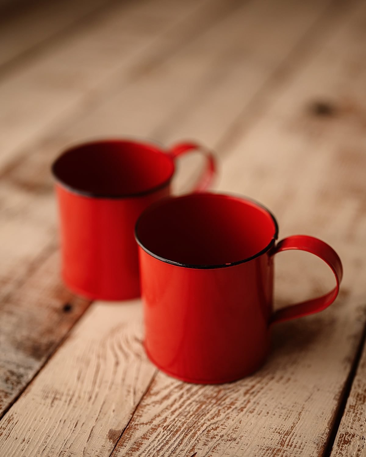 Robin - Metallic Red Mug