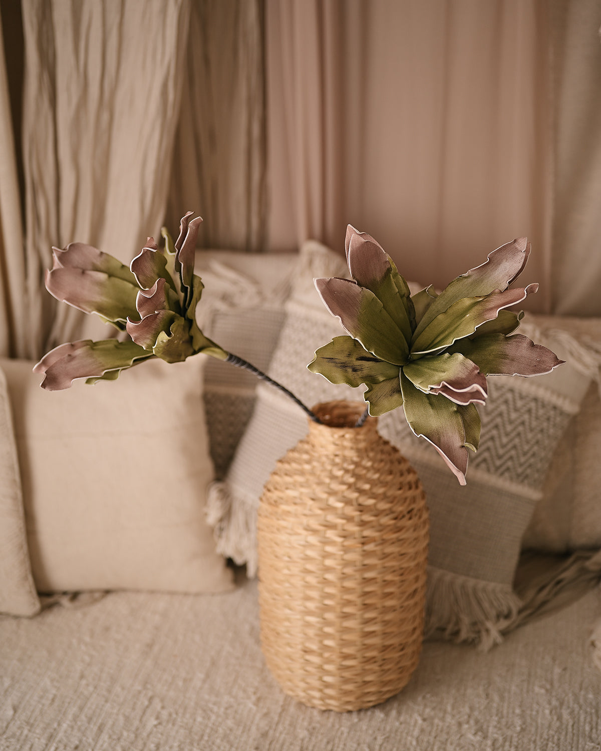 Pink Aloe Vera Flower - Realistic Plant