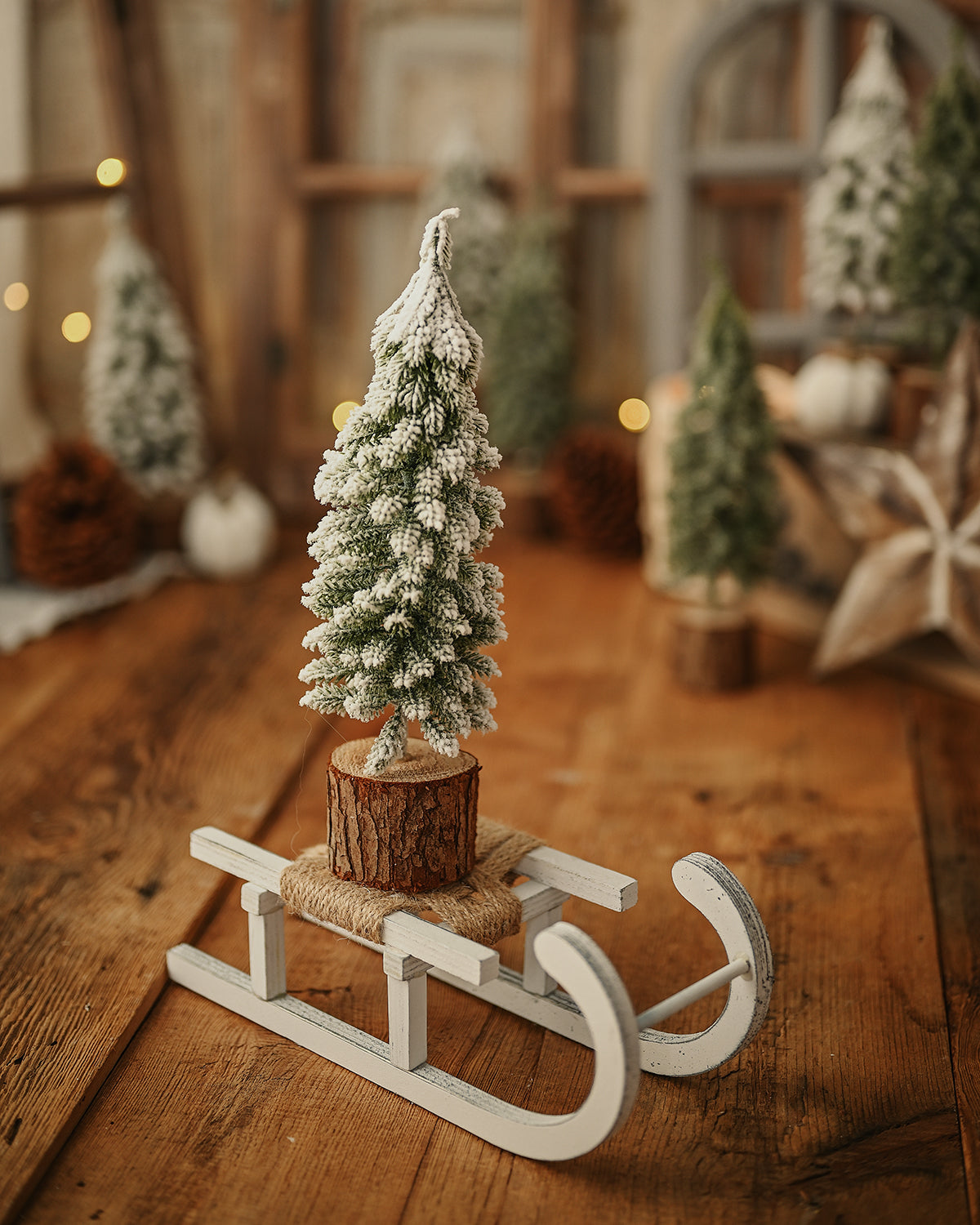 White Rudolph Wooden Sleigh - Three Sizes