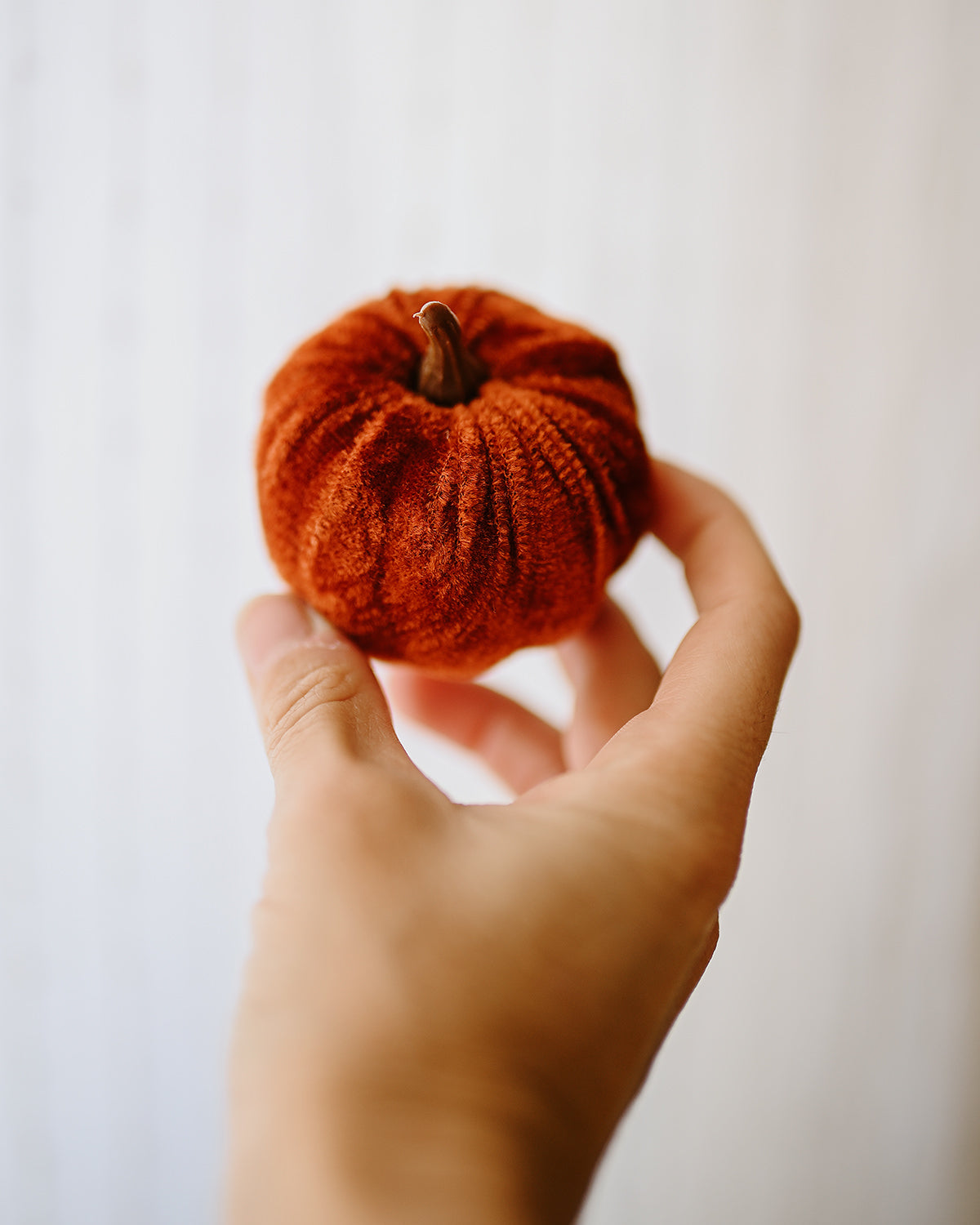 Mini Velvet Pumpkins